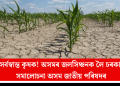 খৰাংত সৰ্বস্বান্ত কৃষক! অসমৰ জলসিঞ্চনক লৈ চৰকাৰক তীব্ৰ সমালোচনা অসম জাতীয় পৰিষদৰ