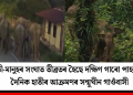 হাতী-মানুহৰ সংঘাত তীব্ৰতৰ হৈছে দক্ষিণ গাৰো পাহাৰত! দৈনিক হাতীৰ আক্ৰমণৰ সন্মুখীন গাওঁবাসী