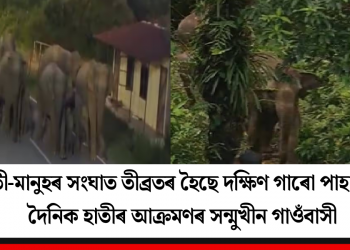 হাতী-মানুহৰ সংঘাত তীব্ৰতৰ হৈছে দক্ষিণ গাৰো পাহাৰত! দৈনিক হাতীৰ আক্ৰমণৰ সন্মুখীন গাওঁবাসী