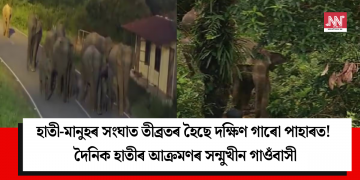 হাতী-মানুহৰ সংঘাত তীব্ৰতৰ হৈছে দক্ষিণ গাৰো পাহাৰত! দৈনিক হাতীৰ আক্ৰমণৰ সন্মুখীন গাওঁবাসী