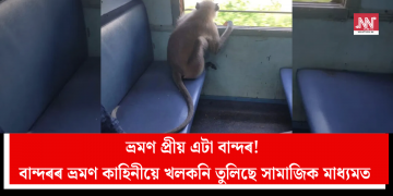ভ্ৰমণ প্ৰিয় এটা বান্দৰ! বান্দৰৰ ভ্ৰমণ কাহিনীয়ে খলকনি তুলিছে সামাজিক মাধ্যমত