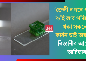 ‘জেলী’ৰ দৰে পদাৰ্থই শুহি ল’ব পৰিৱেশত থকা সকলো কাৰ্বন ডাই অক্সাইড! বিজ্ঞানীৰ আচৰিত আৱিষ্কাৰ