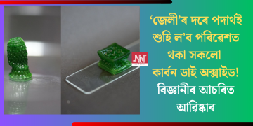 ‘জেলী’ৰ দৰে পদাৰ্থই শুহি ল’ব পৰিৱেশত থকা সকলো কাৰ্বন ডাই অক্সাইড! বিজ্ঞানীৰ আচৰিত আৱিষ্কাৰ
