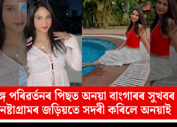 লিঙ্গ পৰিৱৰ্তনৰ পিছত অনয়া বাংগাৰৰ সুখবৰ: ইনষ্টাগ্ৰামৰ জড়িয়তে সদৰী কৰিলে অনয়াই