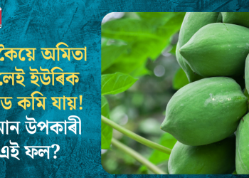 সঁচাকৈয়ে অমিতা খালেই ইউৰিক এচিড কমি যায়! কিমান উপকাৰী এই ফল?