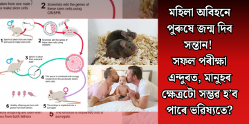 মহিলা অবিহনে পুৰুষে জন্ম দিব সন্তান! সফল পৰীক্ষা এন্দুৰত, মানুহৰ ক্ষেত্ৰটো সম্ভৱ হ’ব পাৰে ভৱিষ্যতে?