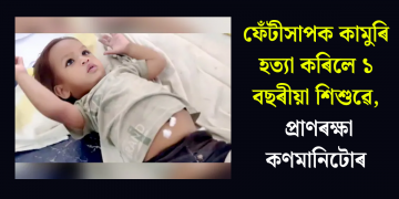 ফেঁটীসাপক কামুৰি হত্যা কৰিলে ১ বছৰীয়া শিশুৱে, প্ৰাণৰক্ষা কণমানিটোৰ