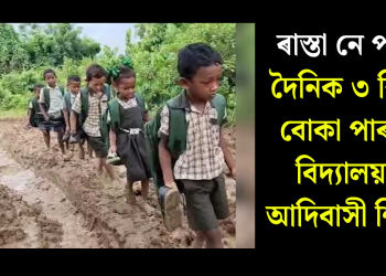 ৰাস্তা নে পথাৰ? দৈনিক ৩ কিঃমিঃ বোকা পাৰ কৰি বিদ্যালয়মুখী আদিবাসী শিক্ষাৰ্থী