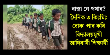 ৰাস্তা নে পথাৰ? দৈনিক ৩ কিঃমিঃ বোকা পাৰ কৰি বিদ্যালয়মুখী আদিবাসী শিক্ষাৰ্থী