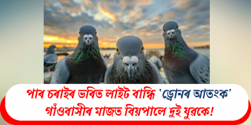 পাৰ চৰাইৰ ভৰিত লাইট বান্ধি ‘ড্ৰোনৰ আতংক’ গাঁওবাসীৰ মাজত বিয়পালে দুই যুৱকে!
