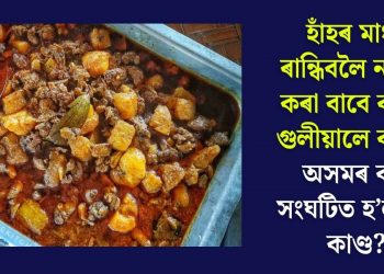 হাঁহৰ মাংস ৰান্ধিবলৈ নস্যাৎ কৰা বাবে বন্ধুৱে গুলীয়ালে বন্ধুক! অসমৰ ক’ত সংঘটিত হ’ল এই কাণ্ড?