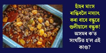 হাঁহৰ মাংস ৰান্ধিবলৈ নস্যাৎ কৰা বাবে বন্ধুৱে গুলীয়ালে বন্ধুক! অসমৰ ক’ত সংঘটিত হ’ল এই কাণ্ড?