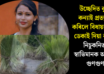 উচ্ছেদিত কৃষক কন্যাই প্ৰত্যাখান কৰিলে বিধায়ক মানৱ ডেকাই দিয়া কঠীয়া! নিচুকনিতকৈ স্বাভিমানক আগস্থান গুণগুণৰ