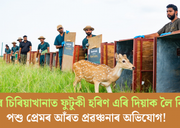 আম্বানীৰ চিৰিয়াখানাত ফুটুকী হৰিণ এৰি দিয়াক লৈ বিতৰ্ক; পশু প্ৰেমৰ আঁৰত প্ৰৱঞ্চনাৰ অভিযোগ!