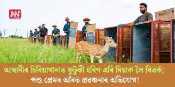 আম্বানীৰ চিৰিয়াখানাত ফুটুকী হৰিণ এৰি দিয়াক লৈ বিতৰ্ক; পশু প্ৰেমৰ আঁৰত প্ৰৱঞ্চনাৰ অভিযোগ!