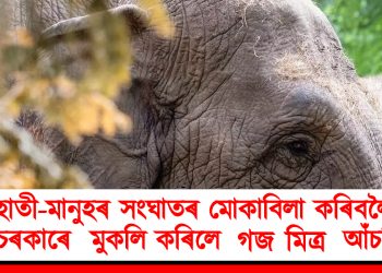 হাতী-মানুহৰ সংঘাতৰ মোকাবিলা কৰিবলৈ অসমে মুকলি কৰিলে ‘গজ মিত্ৰ’ আঁচনি !