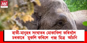 হাতী-মানুহৰ সংঘাতৰ মোকাবিলা কৰিবলৈ অসমে মুকলি কৰিলে ‘গজ মিত্ৰ’ আঁচনি !