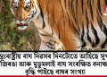 আন্তঃৰাষ্ট্ৰীয় বাঘ দিৱসৰ দিনটোতে আহিছে সুখবৰ! কাজিৰঙা আৰু মুডুমলাই বাঘ সংৰক্ষিত বনাঞ্চলত বৃদ্ধি পাইছে বাঘৰ সংখ্যা