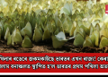 পখিলাৰ ৰঙেৰে জকমকাইছে ভাৰতৰ এখন ৰাজ্য! কেৰালাৰ আৰালাম বনাঞ্চলত স্থাপিত হ’ল ভাৰতৰ প্ৰথম পখিলা অভয়াৰণ্য