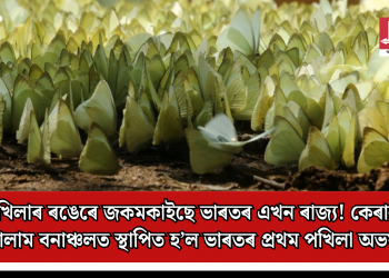 পখিলাৰ ৰঙেৰে জকমকাইছে ভাৰতৰ এখন ৰাজ্য! কেৰালাৰ আৰালাম বনাঞ্চলত স্থাপিত হ’ল ভাৰতৰ প্ৰথম পখিলা অভয়াৰণ্য