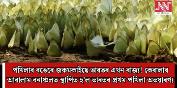 পখিলাৰ ৰঙেৰে জকমকাইছে ভাৰতৰ এখন ৰাজ্য! কেৰালাৰ আৰালাম বনাঞ্চলত স্থাপিত হ’ল ভাৰতৰ প্ৰথম পখিলা অভয়াৰণ্য
