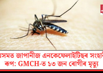অসমত জাপানীজ এনকেফেলাইটিছৰ সংহাৰী ৰূপ: GMCH-ত ১৩ জন ৰোগীৰ মৃত্যু