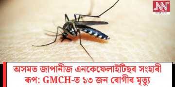 অসমত জাপানীজ এনকেফেলাইটিছৰ সংহাৰী ৰূপ: GMCH-ত ১৩ জন ৰোগীৰ মৃত্যু