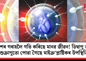 ধ্বংশৰ গৰাহলৈ গতি কৰিছে মানৱ জীৱন! ডিম্বাণু আৰু শুক্ৰাণুতো পোৱা গৈছে মাইক্ৰ’প্লাষ্টিকৰ উপস্থিতি