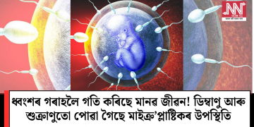 ধ্বংশৰ গৰাহলৈ গতি কৰিছে মানৱ জীৱন! ডিম্বাণু আৰু শুক্ৰাণুতো পোৱা গৈছে মাইক্ৰ’প্লাষ্টিকৰ উপস্থিতি