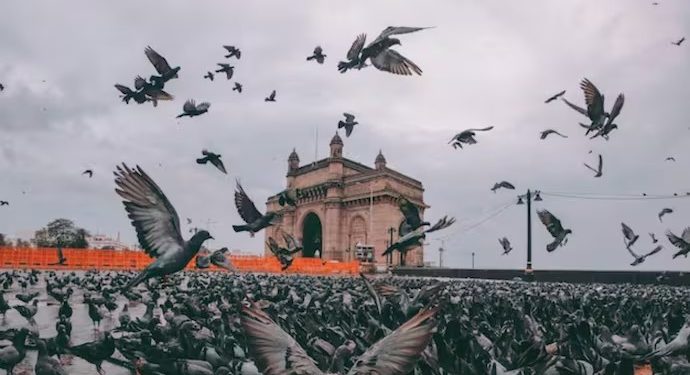 ফটো সংগৃহীত