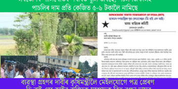 সৰভোগৰ শালিখেতিৰ পথাৰত ধূলি উৰিছে; পটল-জিকাসহ পাচলিৰ দাম প্ৰতি কেজিত ৫-৬ টকালৈ নামিছে