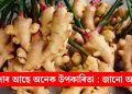 আদাৰ আছে অনেক উপকাৰিতা : জানো আহক
