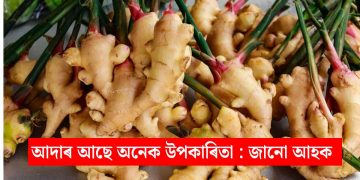 আদাৰ আছে অনেক উপকাৰিতা : জানো আহক