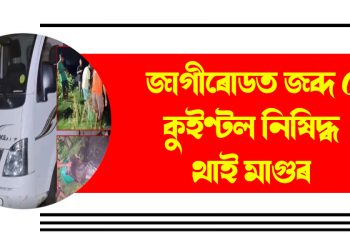 জাগীৰোডত জব্দ ৫ কুইণ্টল নিষিদ্ধ থাই মাগুৰ : নাগালেণ্ডলৈ সৰবৰাহ কৰাৰ উদ্দেশ্যেৰে অনা হৈছিল মাছখিনি