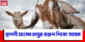 ছাগলী মাংসৰ থলুৱা ব্যঞ্জন শিকো আহক