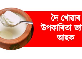 দৈ খোৱাৰ উপকাৰিতা জানো আহক