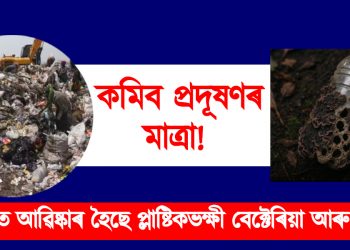 কমিব প্ৰদূষণৰ মাত্ৰা! ভাৰতত আৱিষ্কাৰ হৈছে প্লাষ্টিকভক্ষী বেক্টেৰিয়া আৰু ভেঁকুৰ
