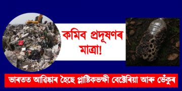 কমিব প্ৰদূষণৰ মাত্ৰা! ভাৰতত আৱিষ্কাৰ হৈছে প্লাষ্টিকভক্ষী বেক্টেৰিয়া আৰু ভেঁকুৰ
