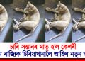 চাৰি সন্তানৰ মাতৃ হ’ল কেশৰী : অসম ৰাজ্যিক চিৰিয়াখানালৈ আহিল নতুন অতিথি