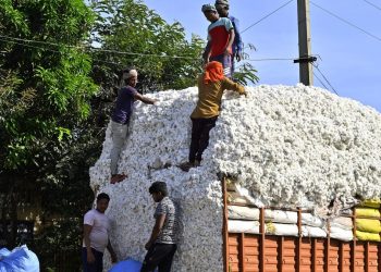 ৩১ ডিচেম্বৰ পৰ্যন্ত কপাহৰ শুল্কমুক্ত আমদানি তিনিমাহ বৃদ্ধিৰ ঘোষণা চৰকাৰৰ