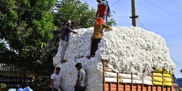 ৩১ ডিচেম্বৰ পৰ্যন্ত কপাহৰ শুল্কমুক্ত আমদানি তিনিমাহ বৃদ্ধিৰ ঘোষণা চৰকাৰৰ