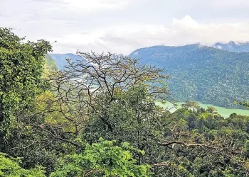কৰ্ণাটকত শিৱমোগ্গাত শাৰৱতী প্ৰকল্প নিৰ্মাণৰ বাবে কটা হ’ব ১০ হাজাৰ গছ