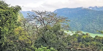 কৰ্ণাটকত শিৱমোগ্গাত শাৰৱতী প্ৰকল্প নিৰ্মাণৰ বাবে কটা হ’ব ১০ হাজাৰ গছ