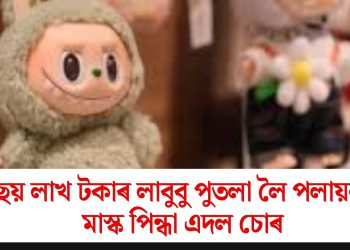 ছয় লাখ টকাৰ লাবুবু পুতলা লৈ পলায়ন মাস্ক পিন্ধা এদল চোৰ