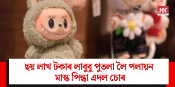 ছয় লাখ টকাৰ লাবুবু পুতলা লৈ পলায়ন মাস্ক পিন্ধা এদল চোৰ