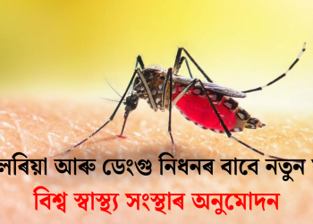 মেলেৰিয়া আৰু ডেংগু নিধনৰ বাবে নতুন যন্ত্ৰ: বিশ্ব স্বাস্থ্য সংস্থাৰ অনুমোদন