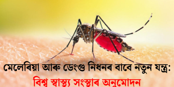 মেলেৰিয়া আৰু ডেংগু নিধনৰ বাবে নতুন যন্ত্ৰ: বিশ্ব স্বাস্থ্য সংস্থাৰ অনুমোদন