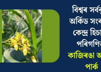 বিশ্বৰ সৰ্ববৃহৎ অৰ্কিড সংৰক্ষণ কেন্দ্ৰ হিচাপে পৰিগণিত কাজিৰঙা অৰ্কিড পাৰ্ক