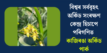 বিশ্বৰ সৰ্ববৃহৎ অৰ্কিড সংৰক্ষণ কেন্দ্ৰ হিচাপে পৰিগণিত কাজিৰঙা অৰ্কিড পাৰ্ক