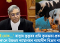 ‘সিহঁতেই মোক…’ ৰাস্তাৰ কুকুৰৰ প্ৰতি কৃতজ্ঞতা প্ৰকাশ কৰি কি ক’লে উচ্চতম ন্যায়ালয়ৰ ন্যায়াধীশ বিক্ৰম নাথে?
